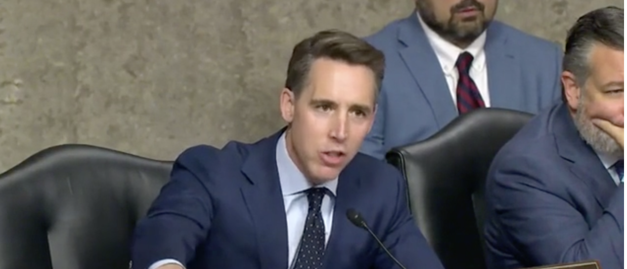 Josh Hawley Confronts Witness Point-Blank To Explain How Flooding Job Market With Illegal Migrants Helps Americans